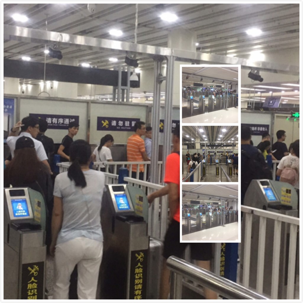 百舸争流，奋楫者先 ——雷速(中国)leisu·官方网页版,出席第九届中国自贸区及特殊区域产业升级论坛