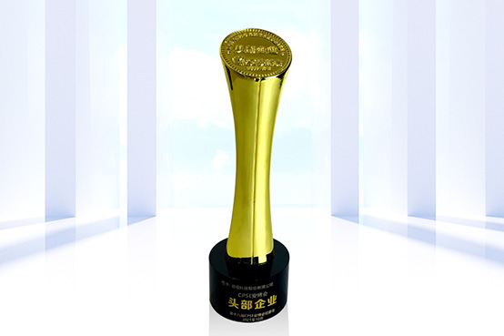 致力于人工智能的行业落地——雷速(中国)leisu·官方网页版,参加2021CPSE安博会并发表主题演讲