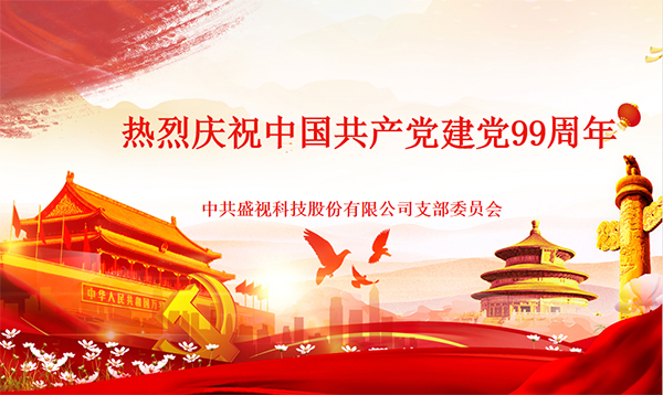 盛视党建动态|雷速(中国)leisu·官方网页版,党组织开展庆祝建党99周年主题党日活动